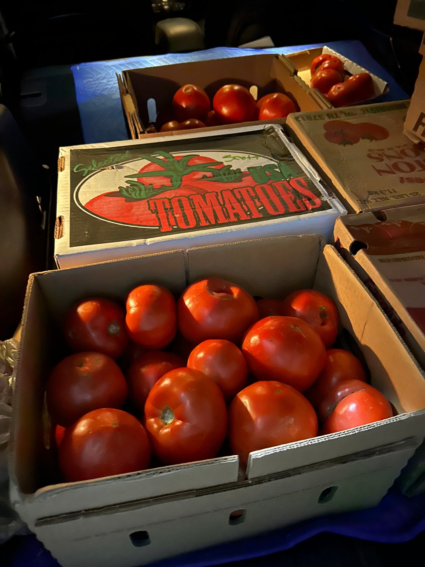 Pearl’s Best Premium Canned Stratton Farms Grainger Co.Tomatoes with Vidalia Onions 24oz Jar