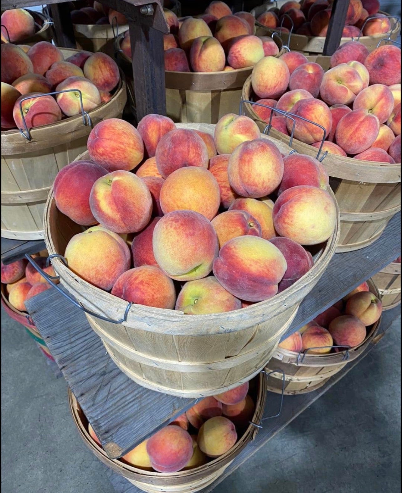 Coming Soon! Pearl’s Best Premium Canned Georgia’s Finest Peaches with Cinnamon